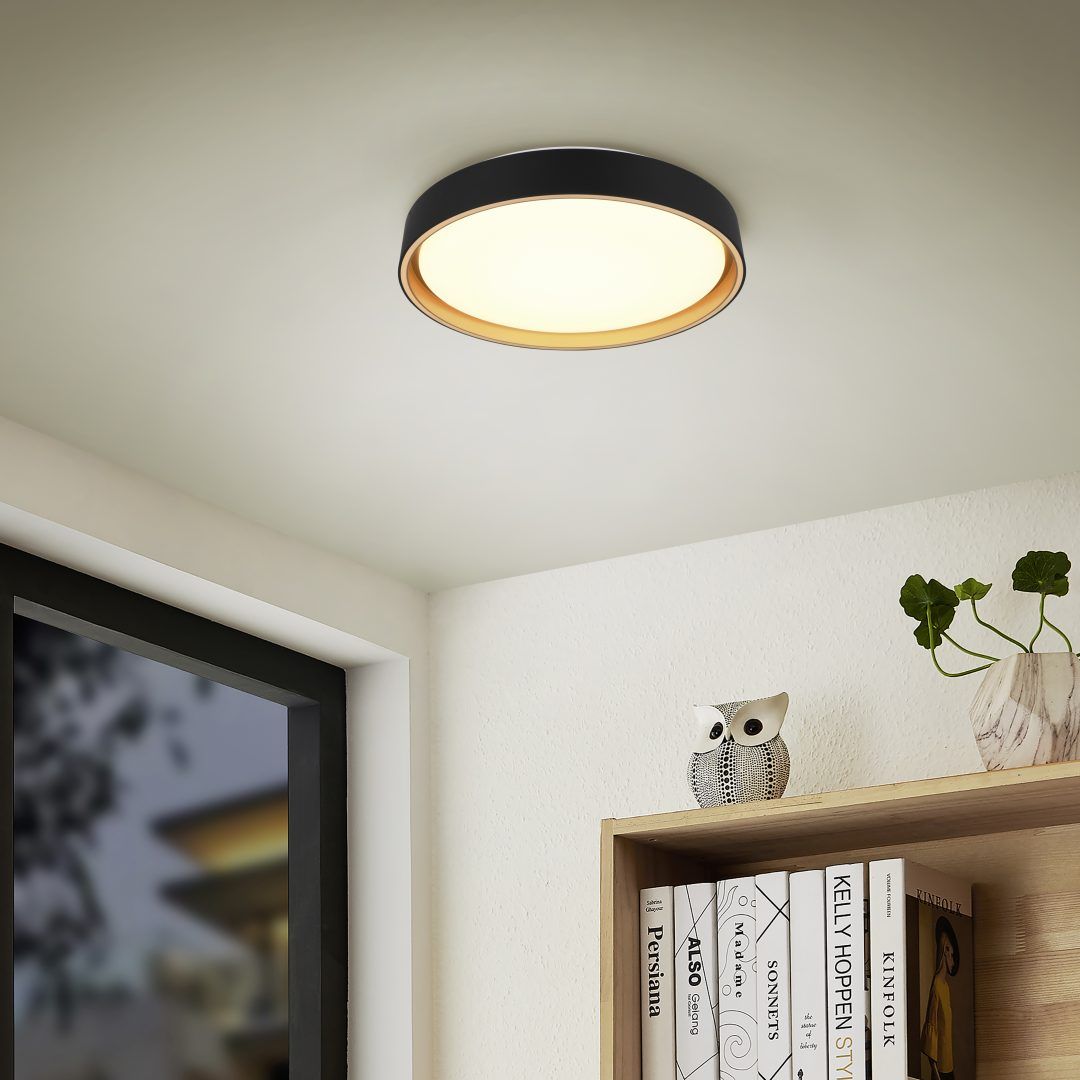 Felis  - Ceiling lamp - Black - Gold - Reality