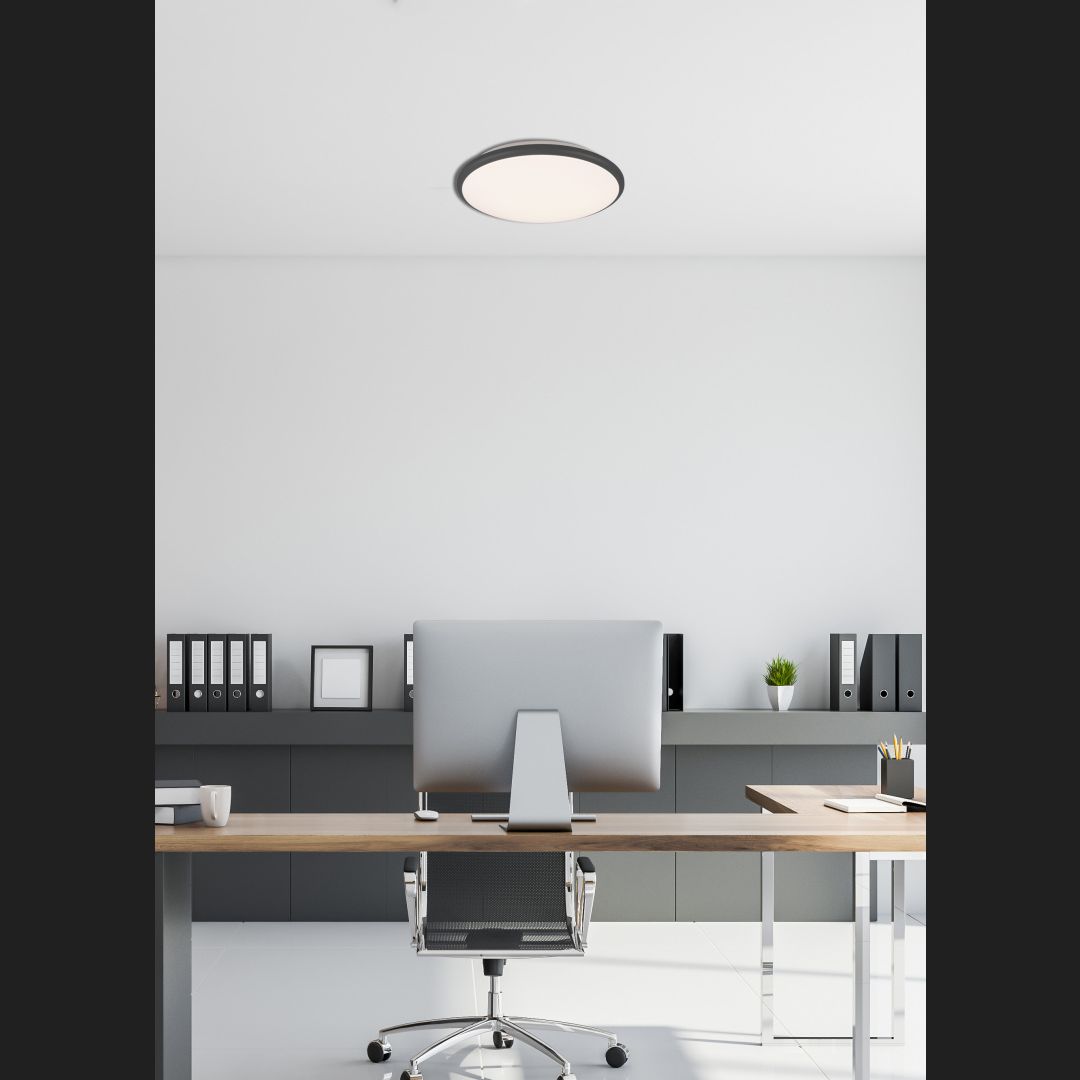 Limbus  - Ceiling lamp - Black Matt - Reality