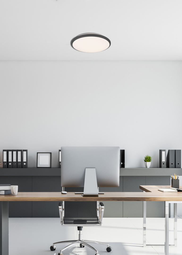 Limbus  - Ceiling lamp - Black Matt - Reality