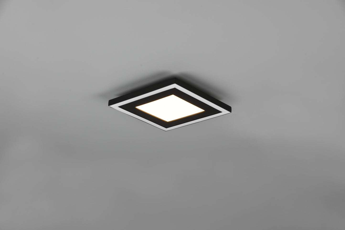 Carus  - Ceiling lamp - Black Matt - Reality