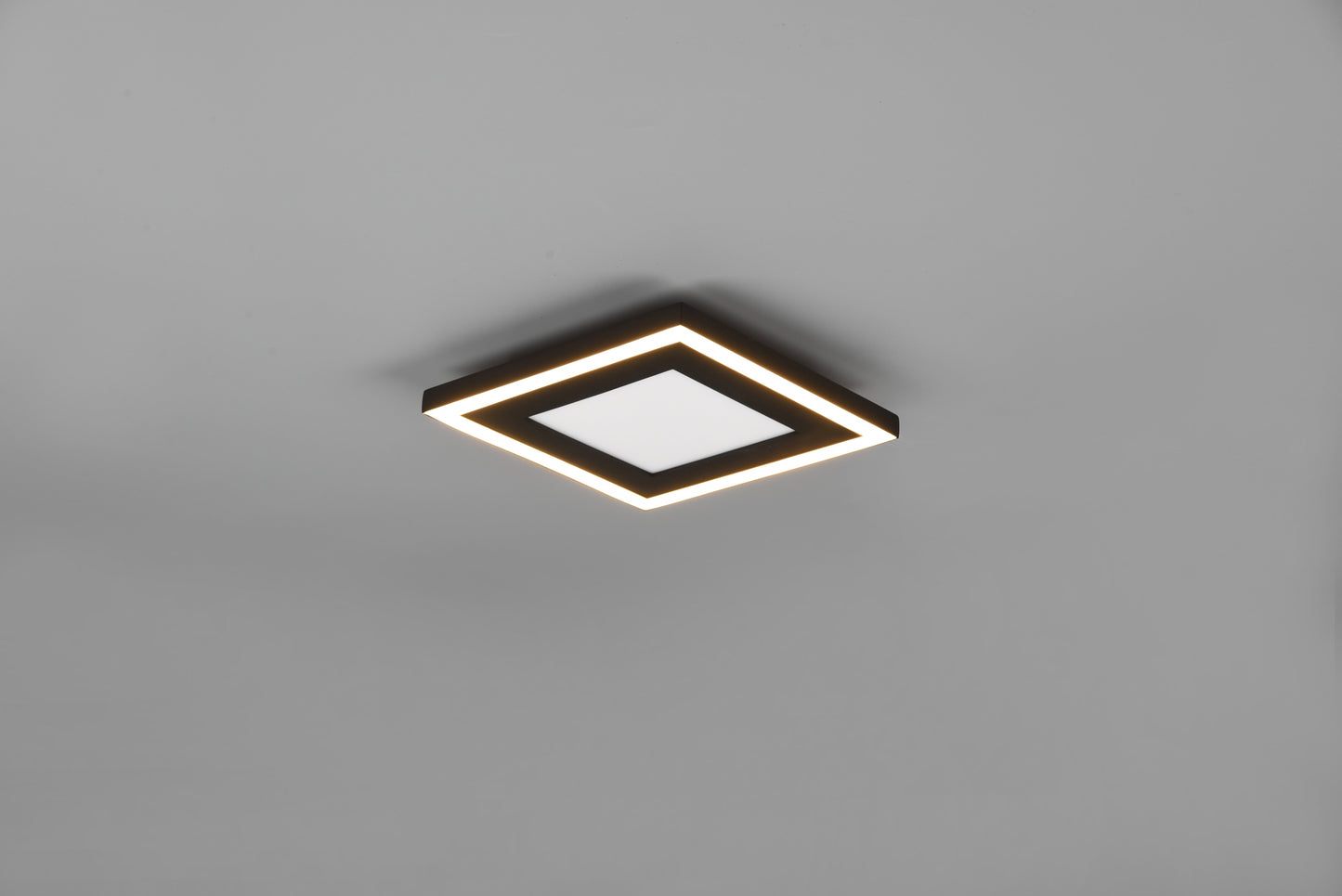 Carus  - Ceiling lamp - Black Matt - Reality