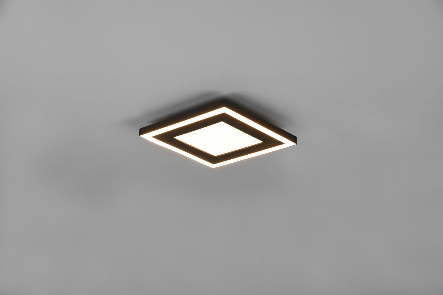 Carus  - Ceiling lamp - Black Matt - Reality