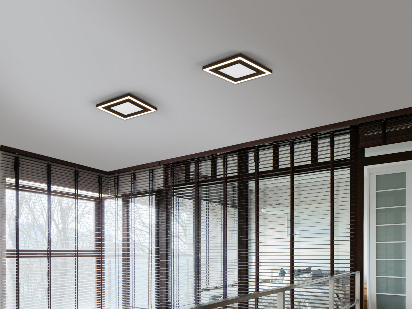 Carus  - Ceiling lamp - Black Matt - Reality