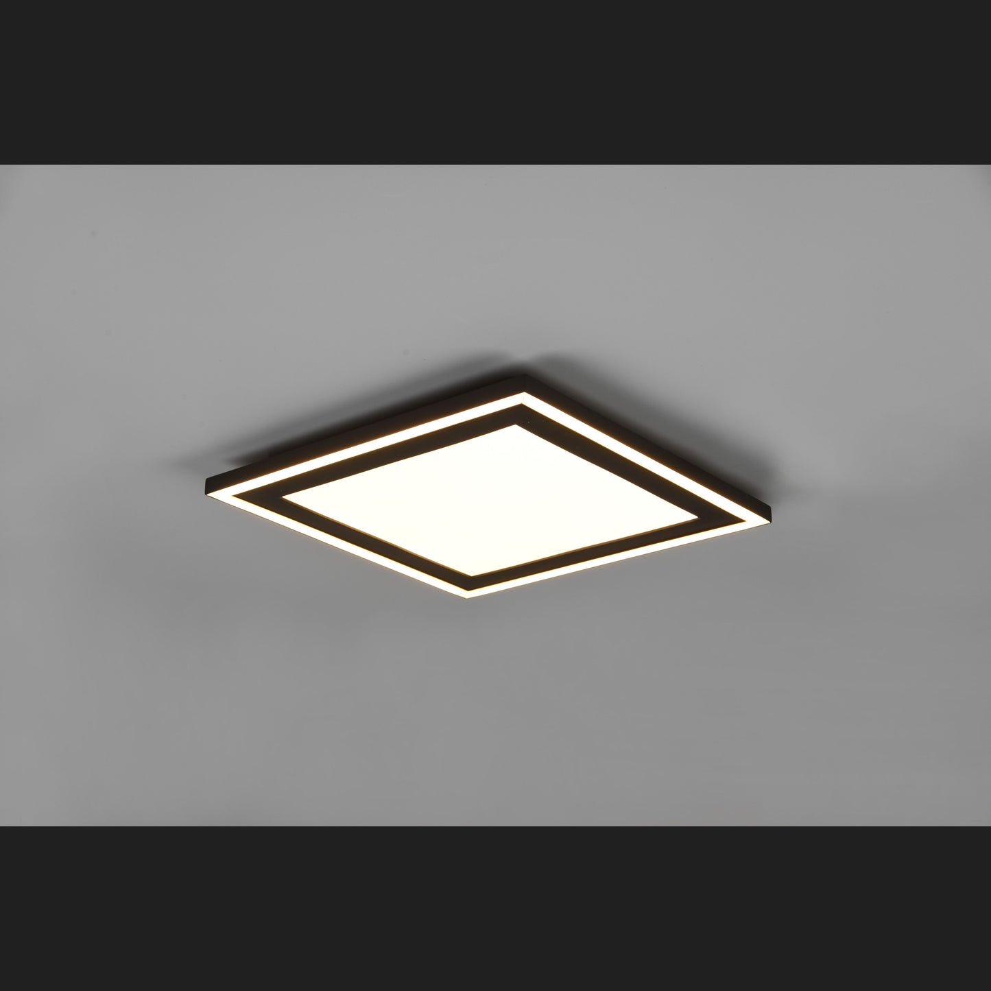Carus  - Ceiling lamp - Black Matt - Reality