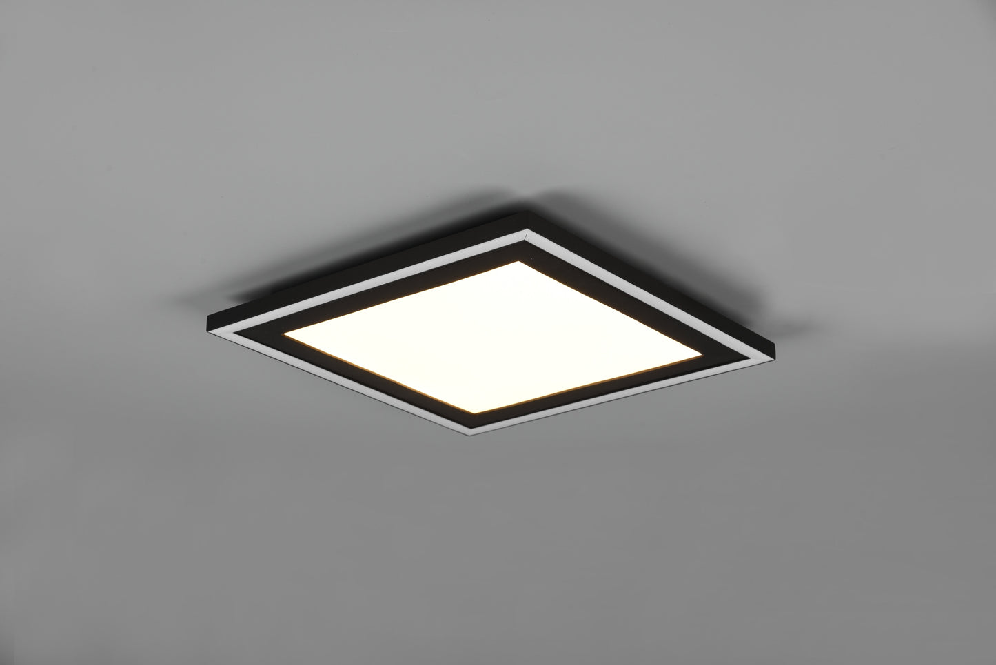 Carus  - Ceiling lamp - Black Matt - Reality