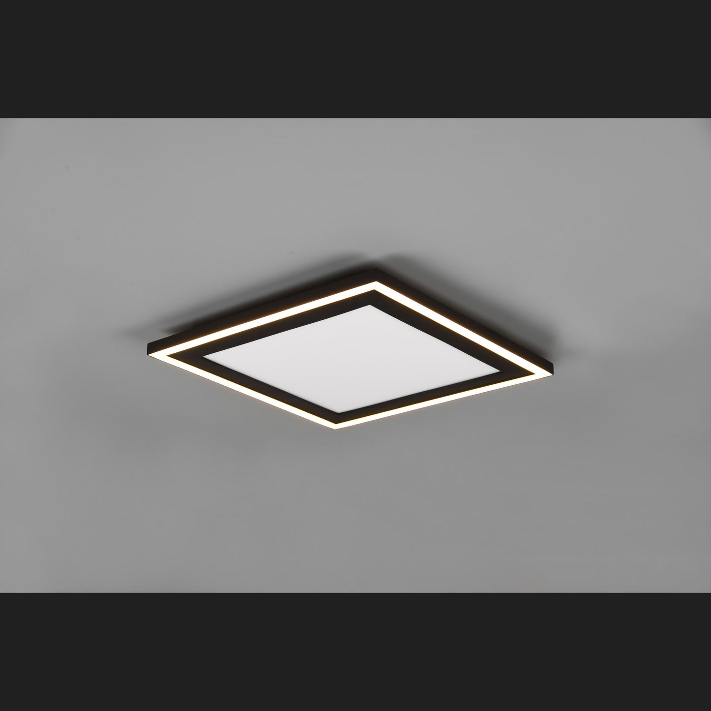 Carus  - Ceiling lamp - Black Matt - Reality