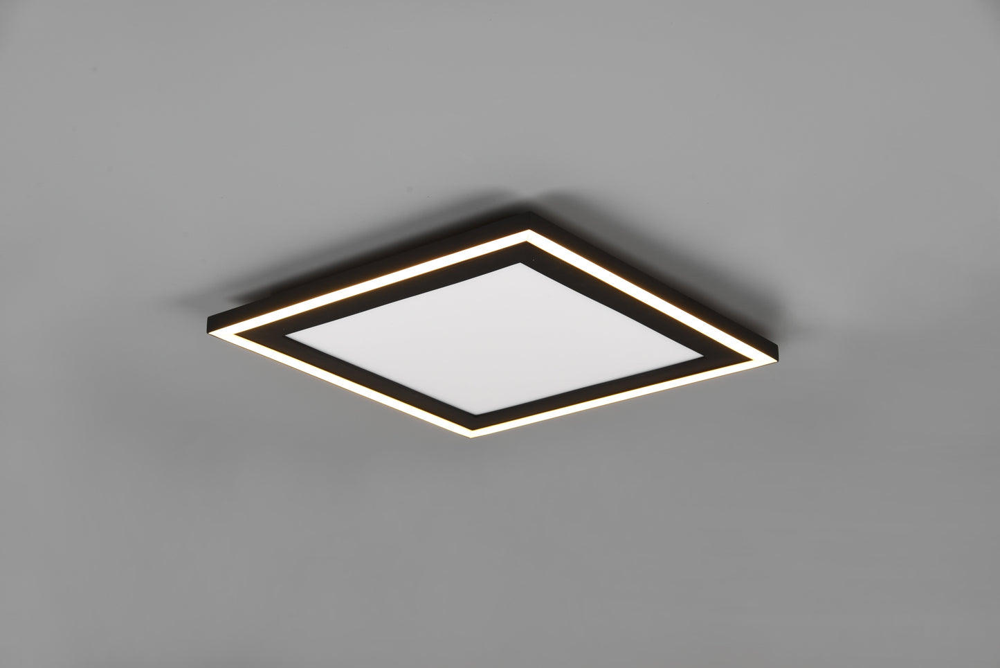 Carus  - Ceiling lamp - Black Matt - Reality