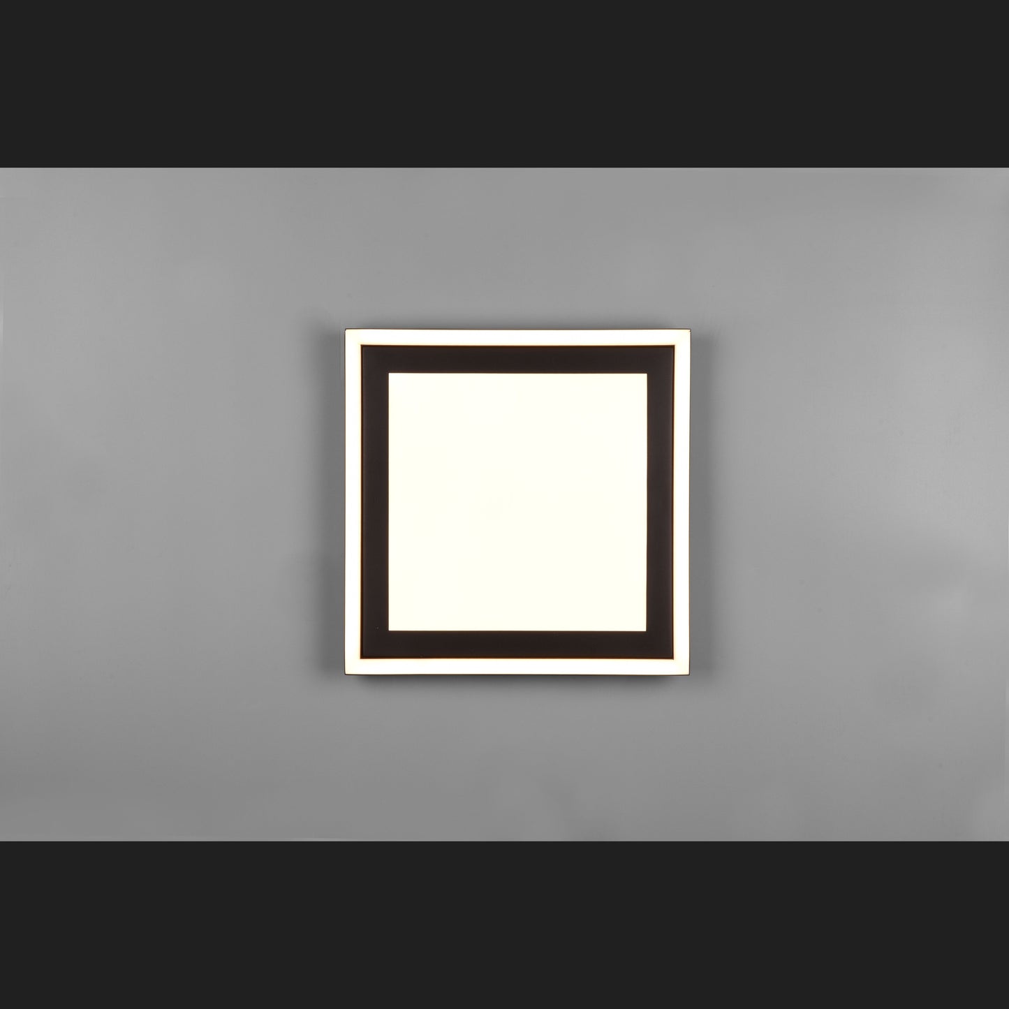 Carus  - Ceiling lamp - Black Matt - Reality