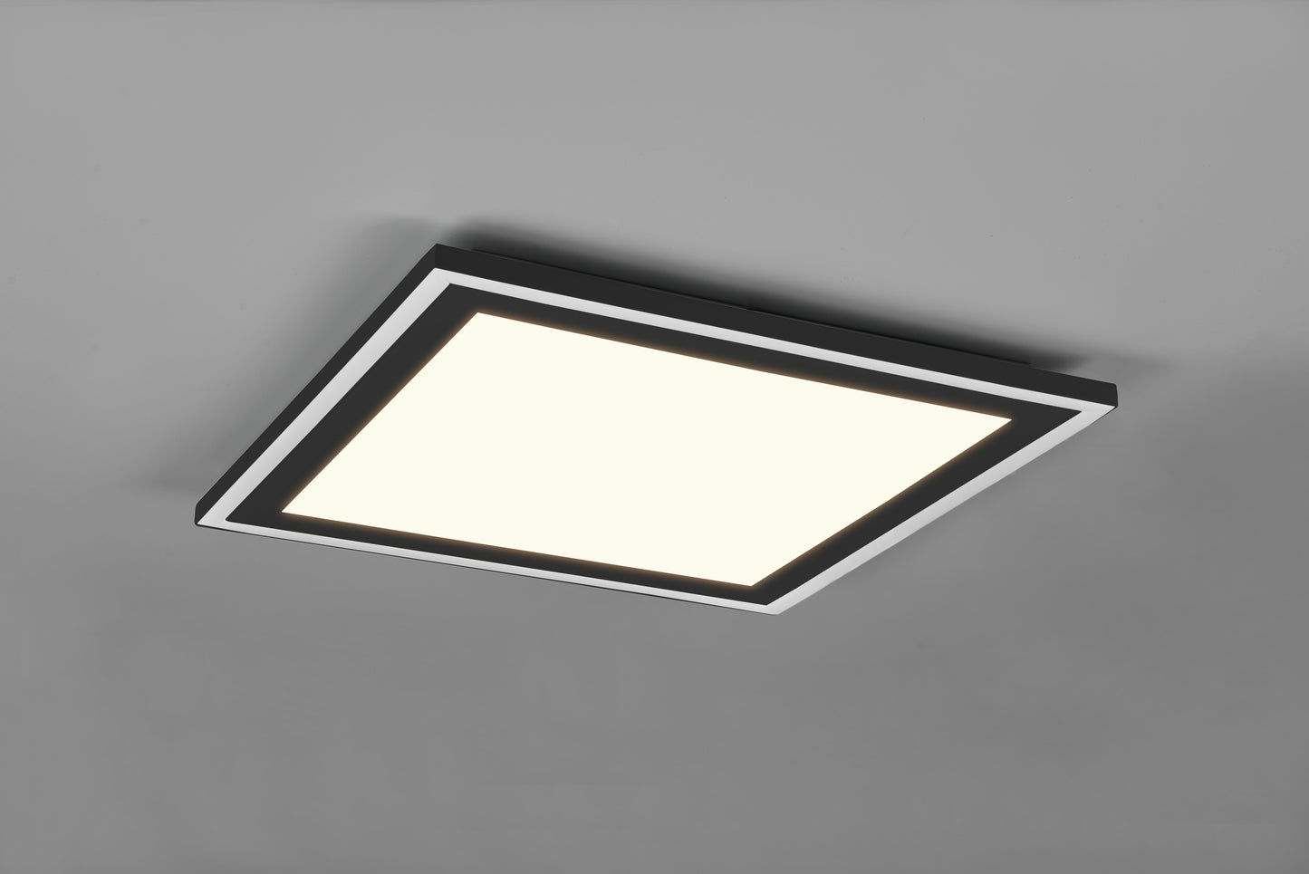 Carus  - Ceiling lamp - Black Matt - Reality