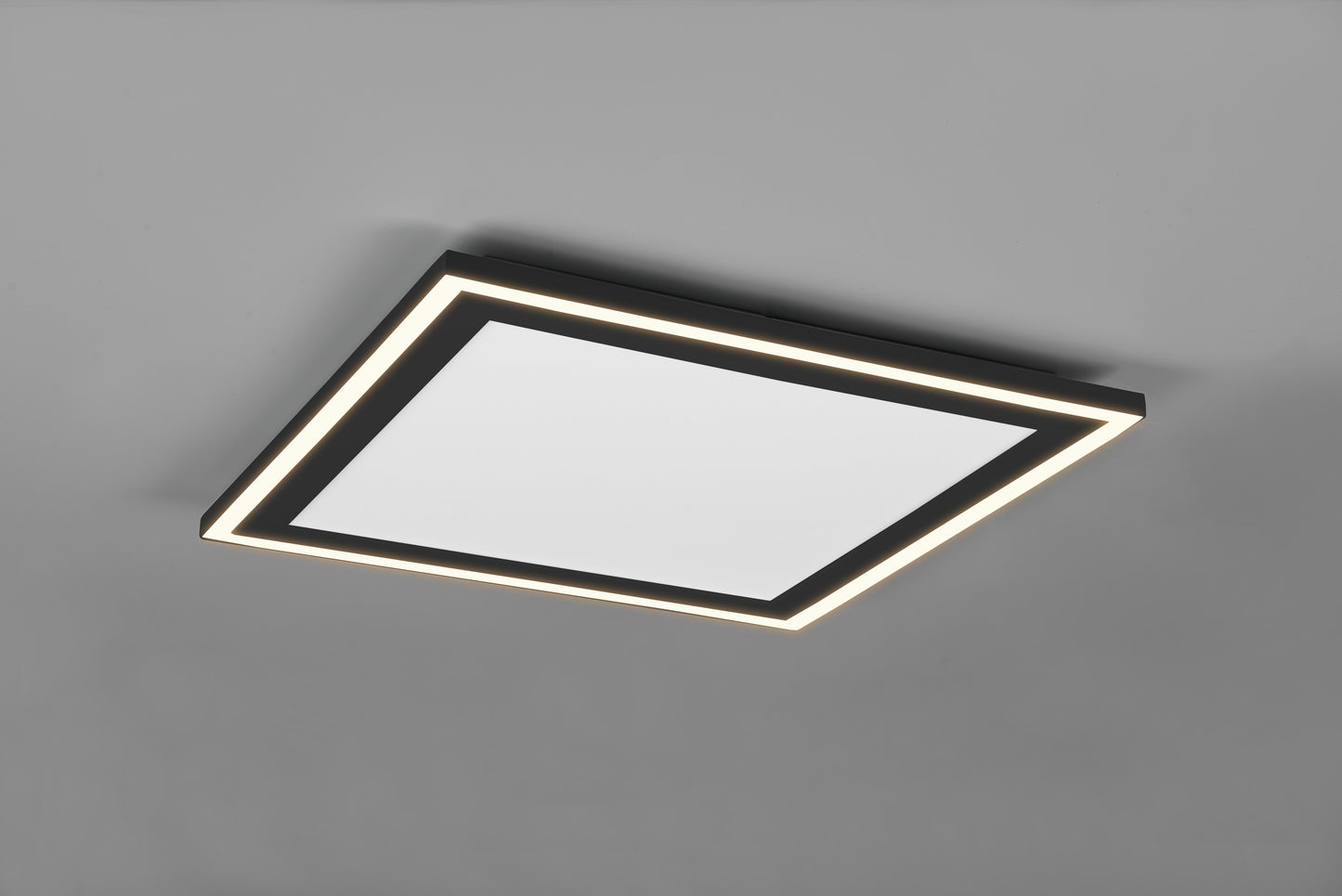 Carus  - Ceiling lamp - Black Matt - Reality