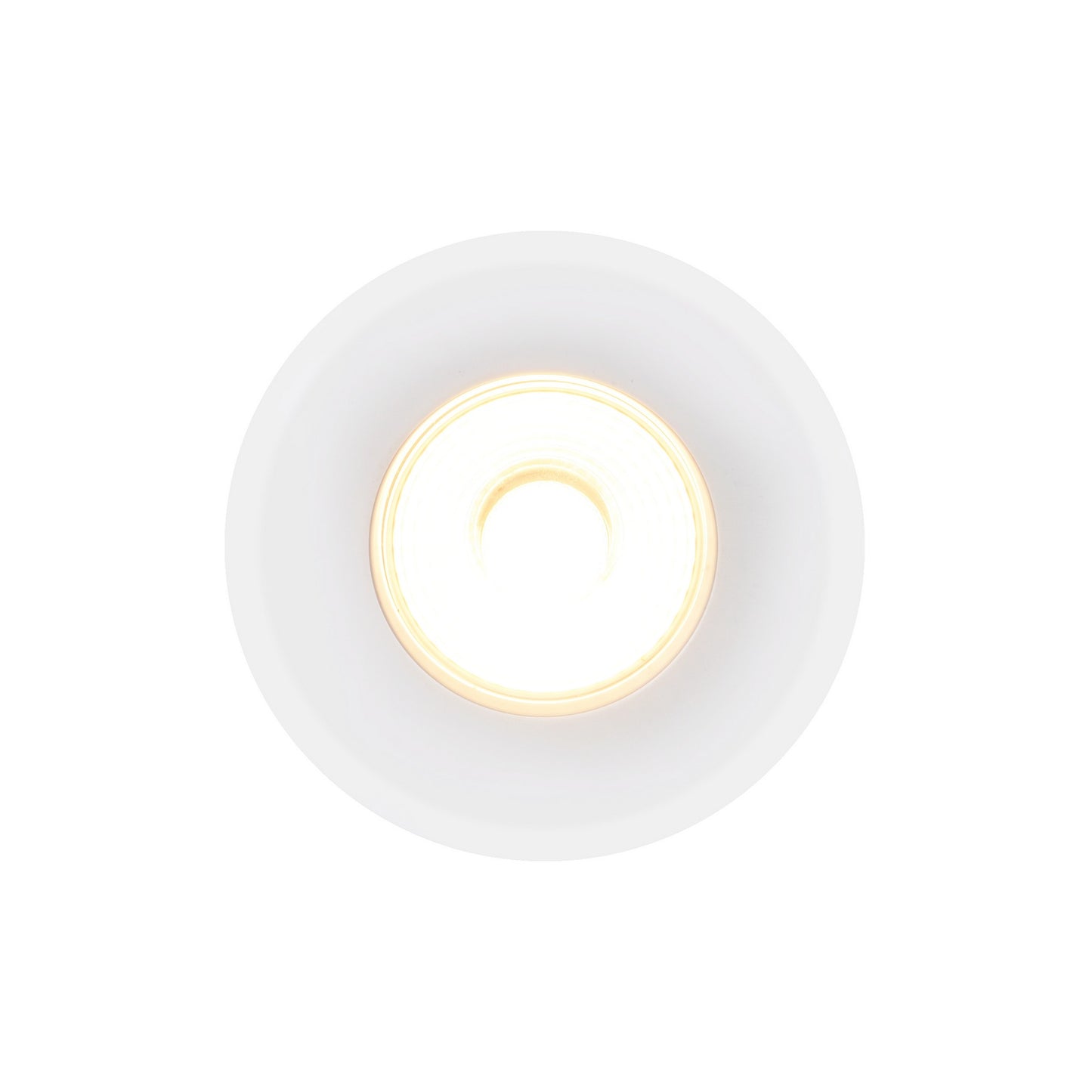 Rosalee - Downlight