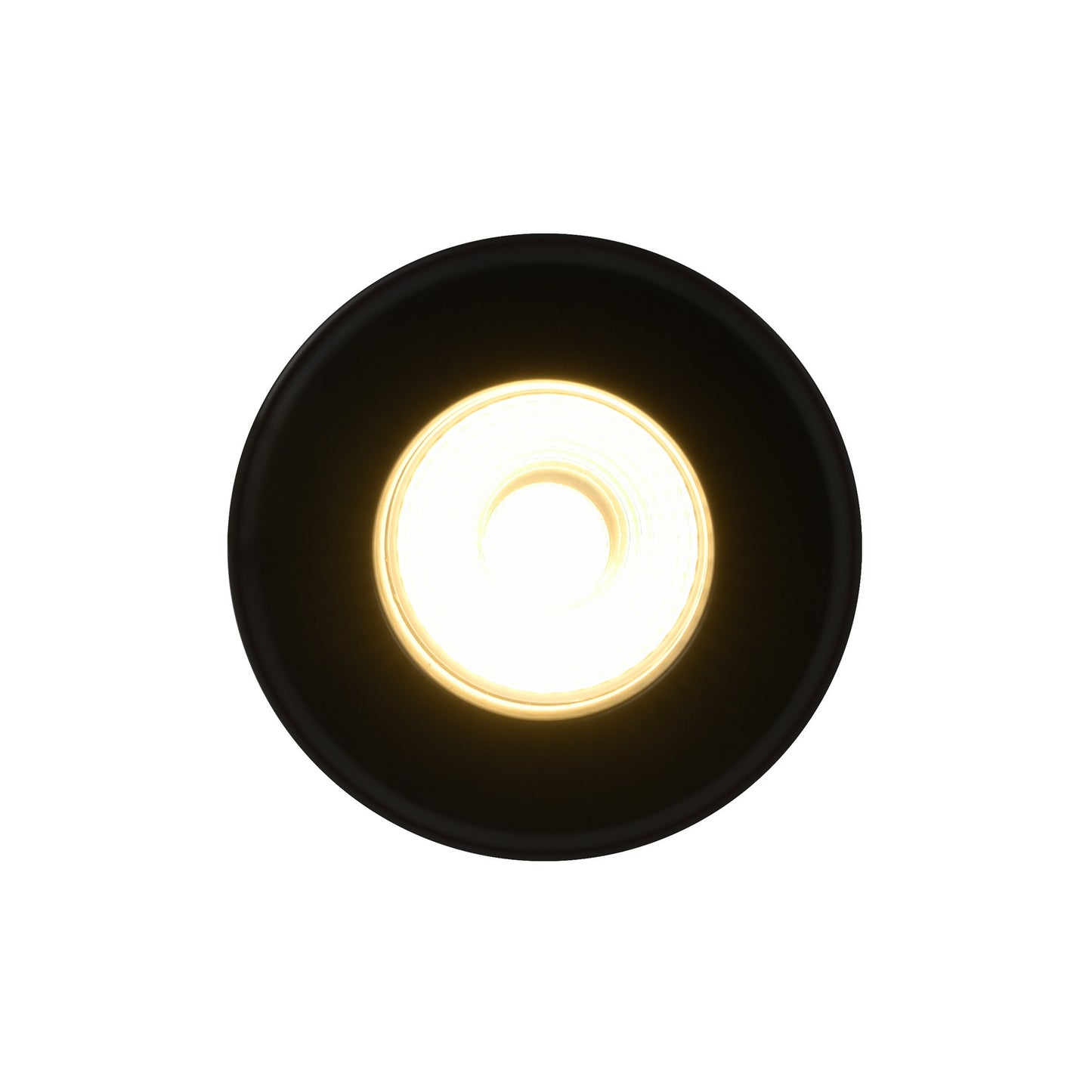 Rosalee - Downlight