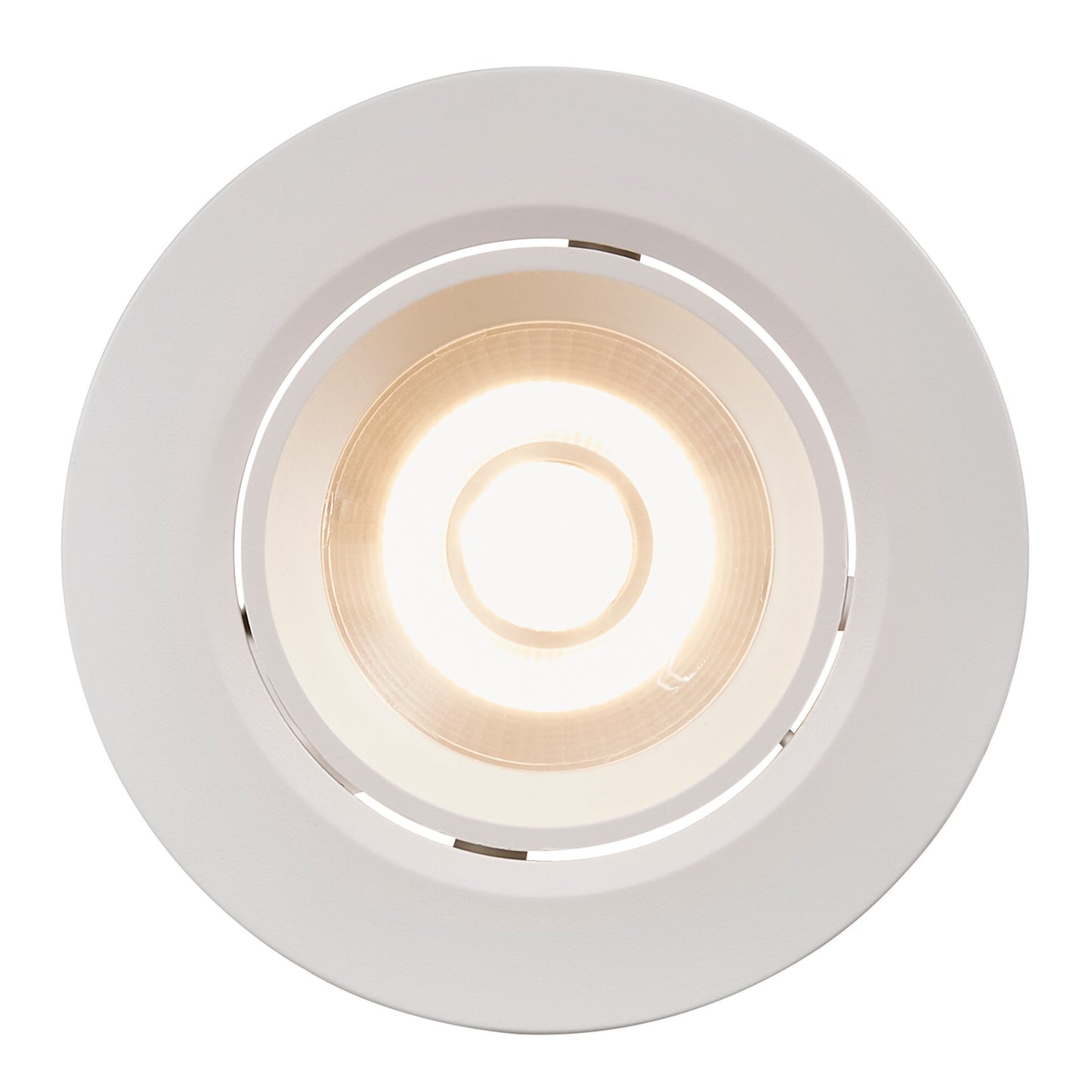 Roar - Downlight