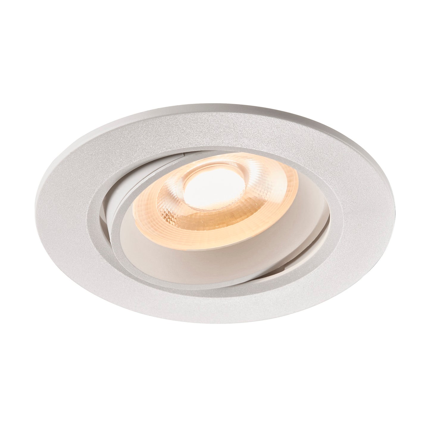 Roar - Downlight