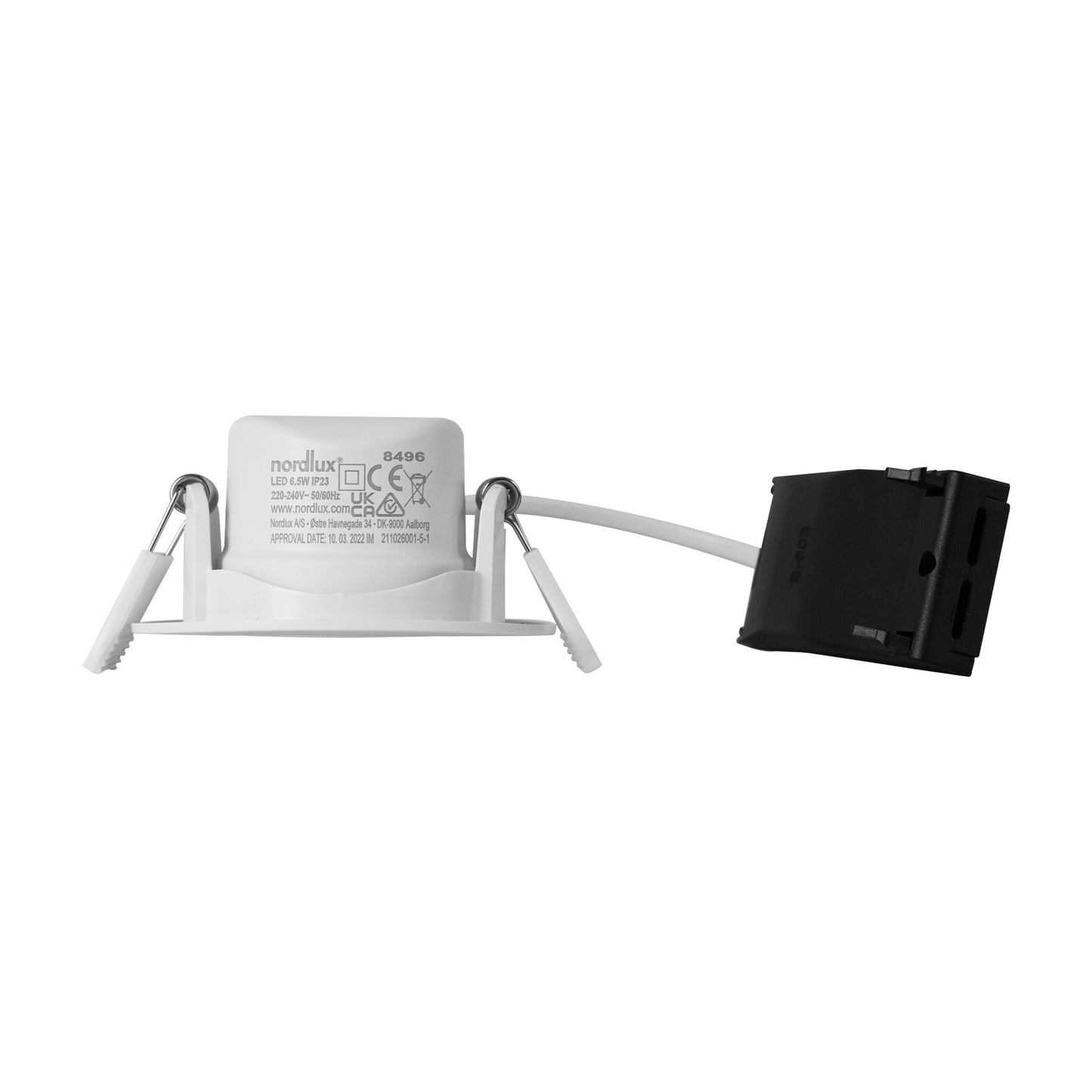 Roar - Downlight