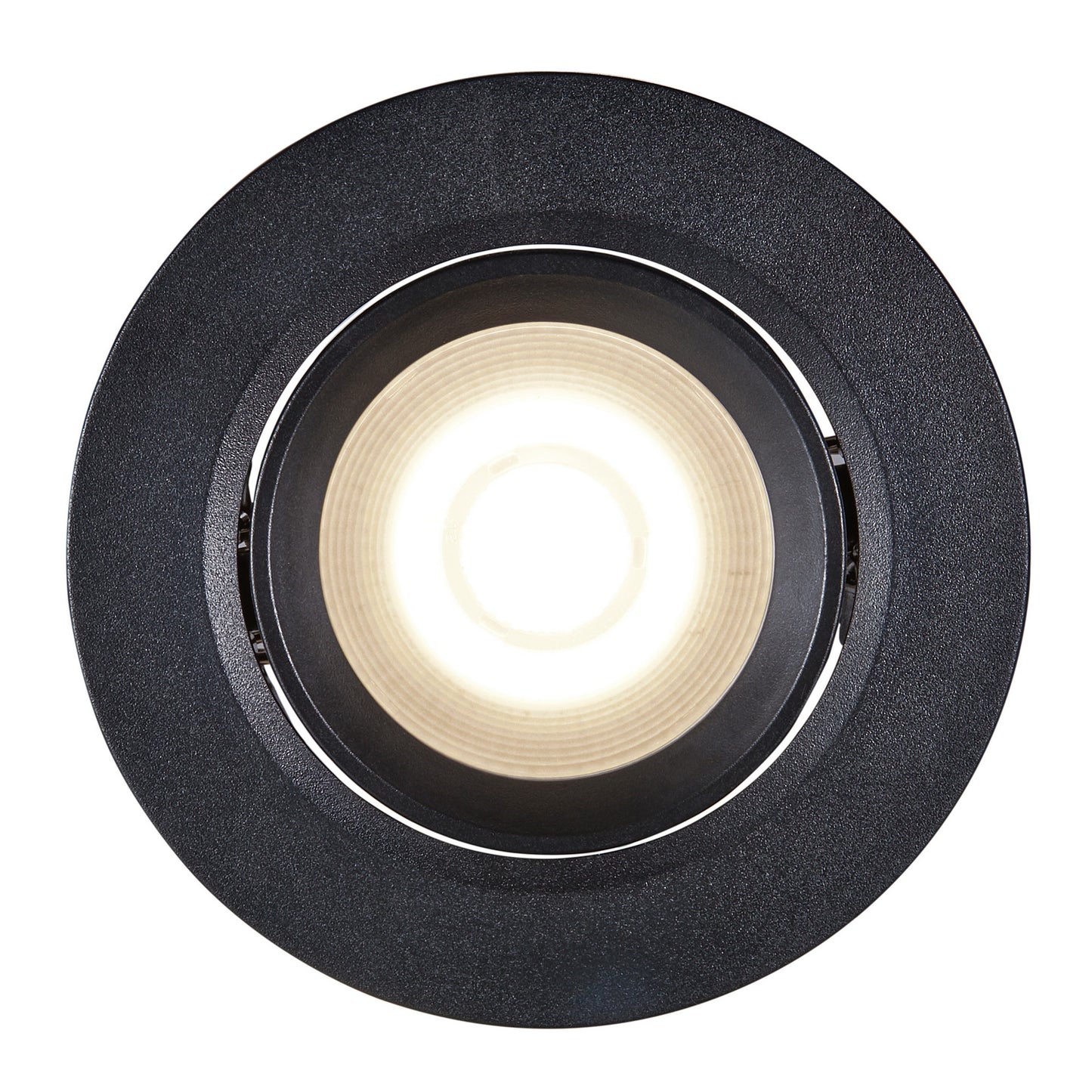 Roar - Downlight
