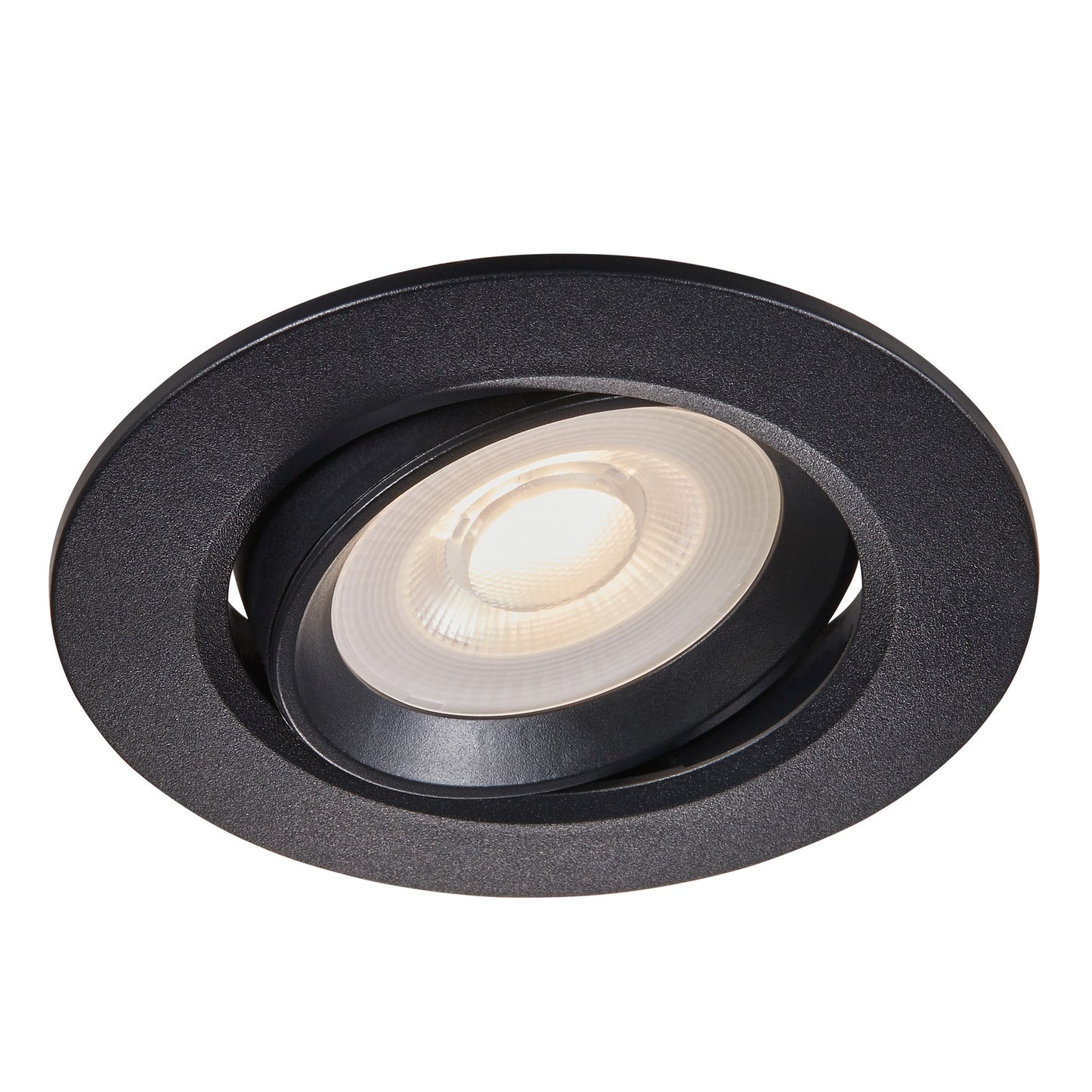 Roar - Downlight