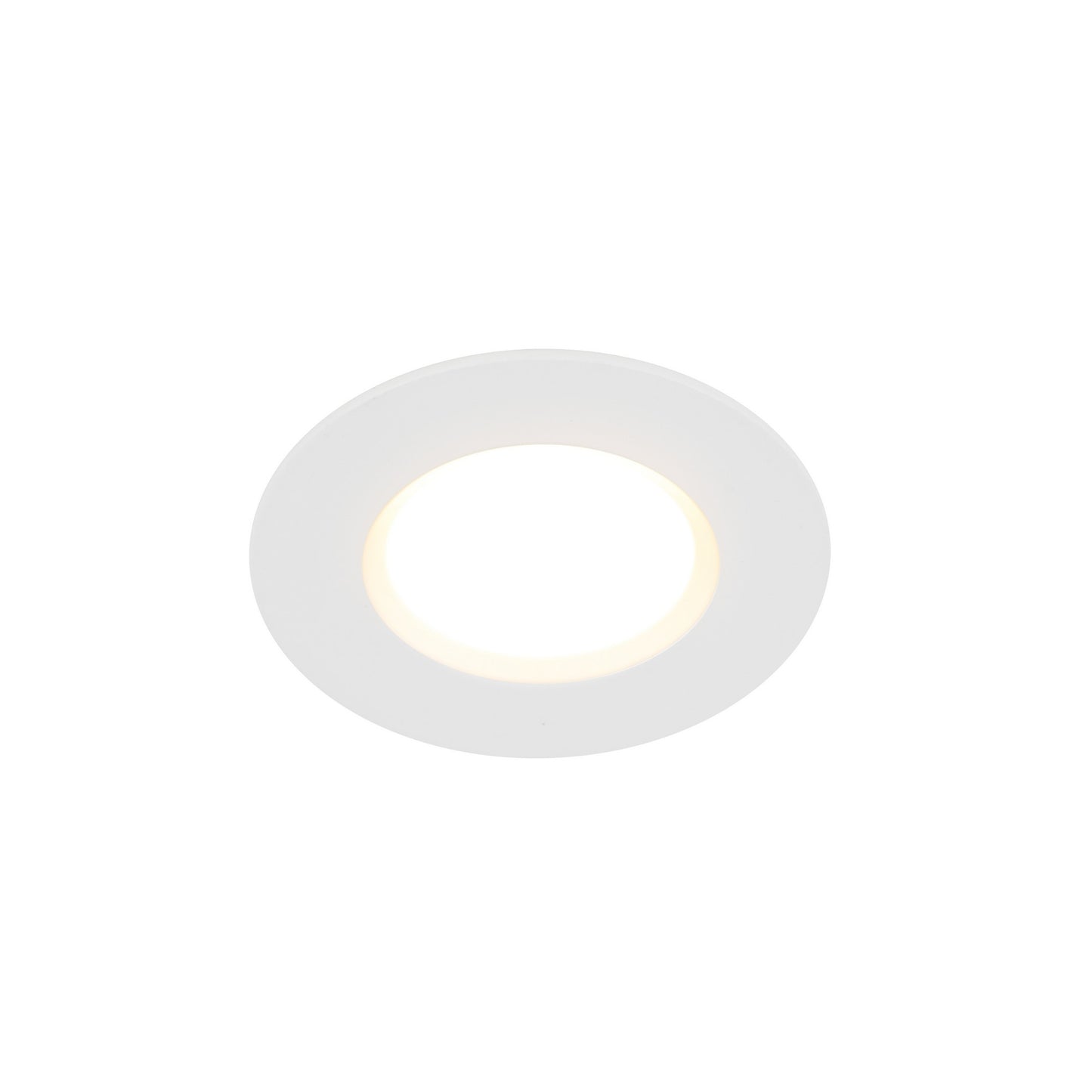 Siege - Downlight