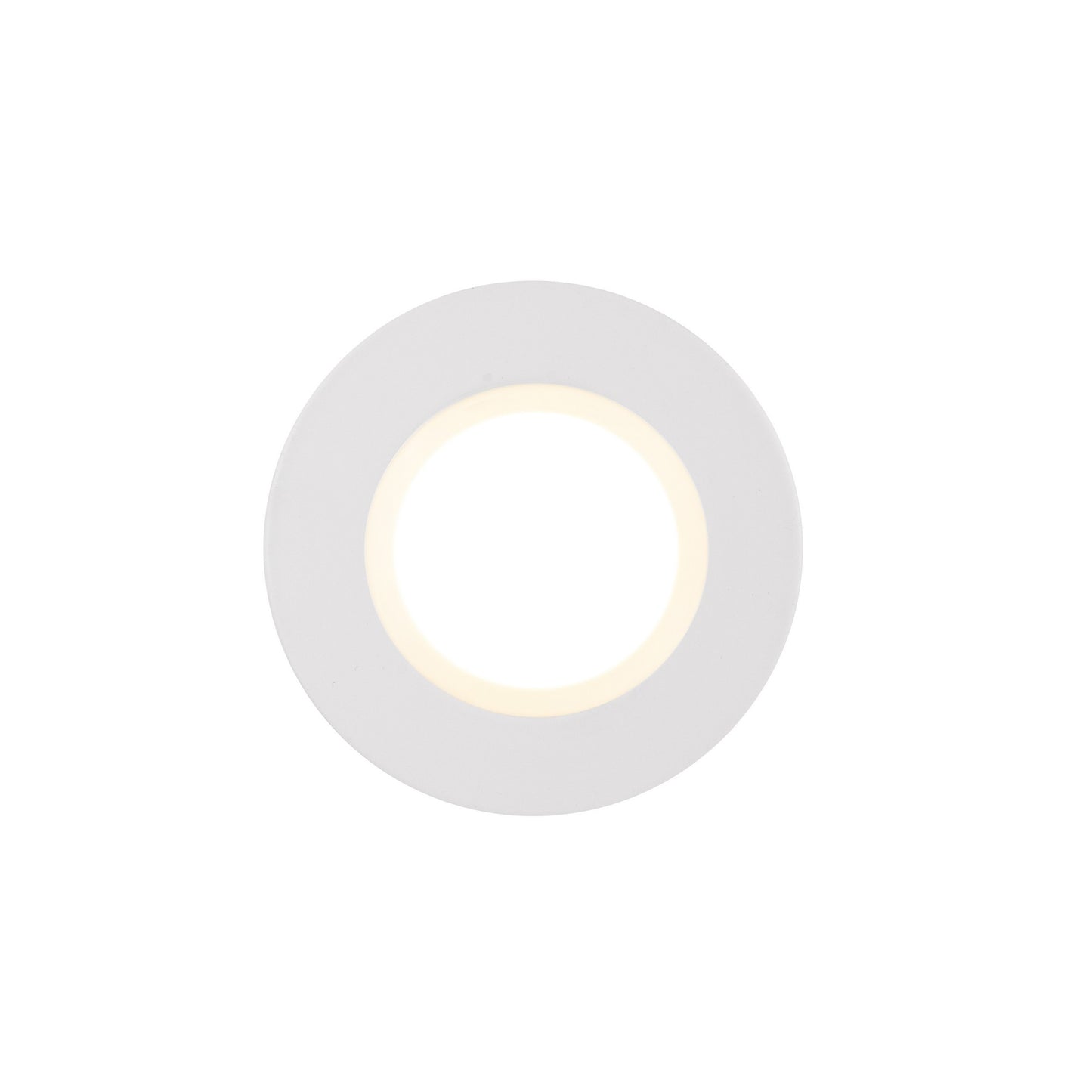 Siege - Downlight