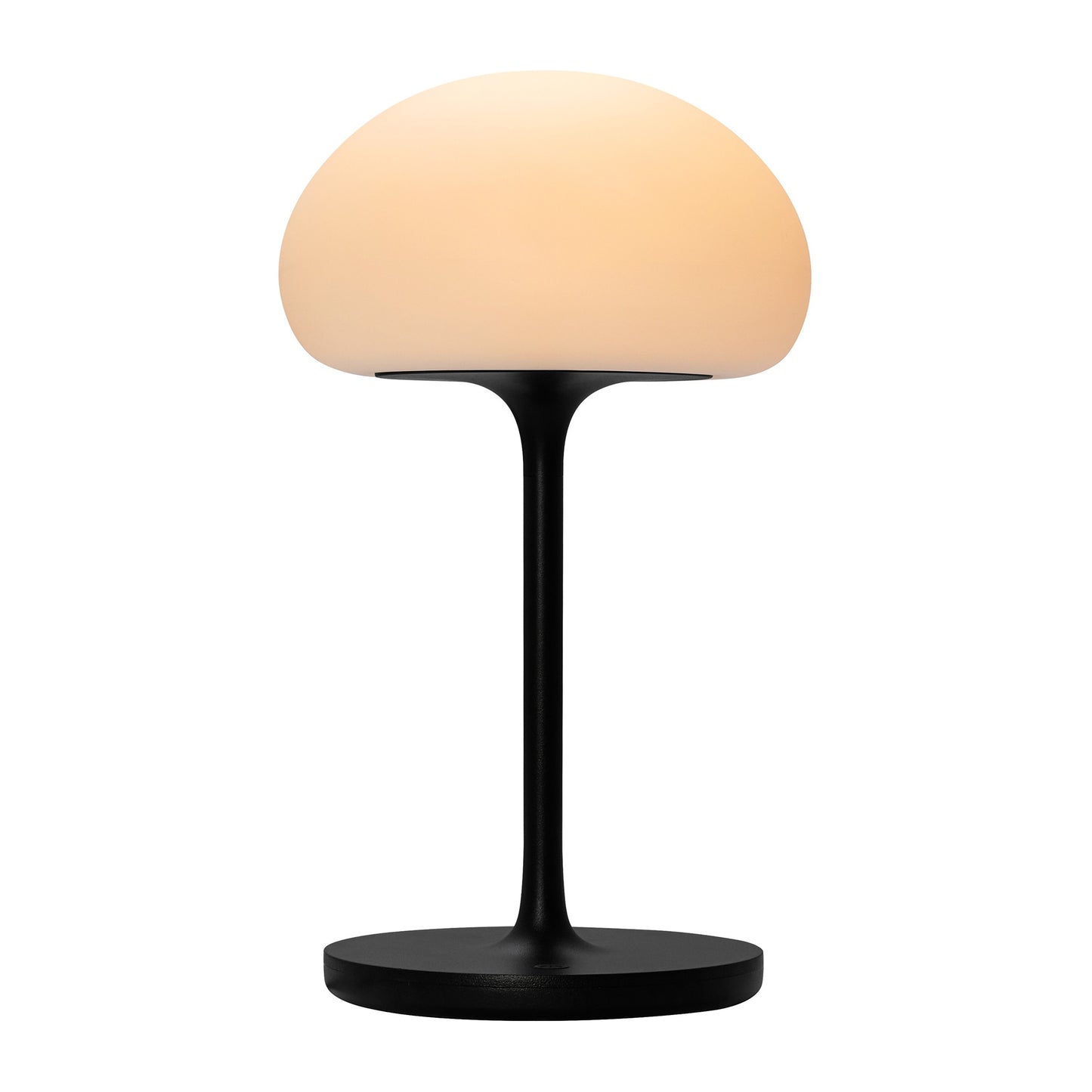 Sponge On A Stick - Battery light
