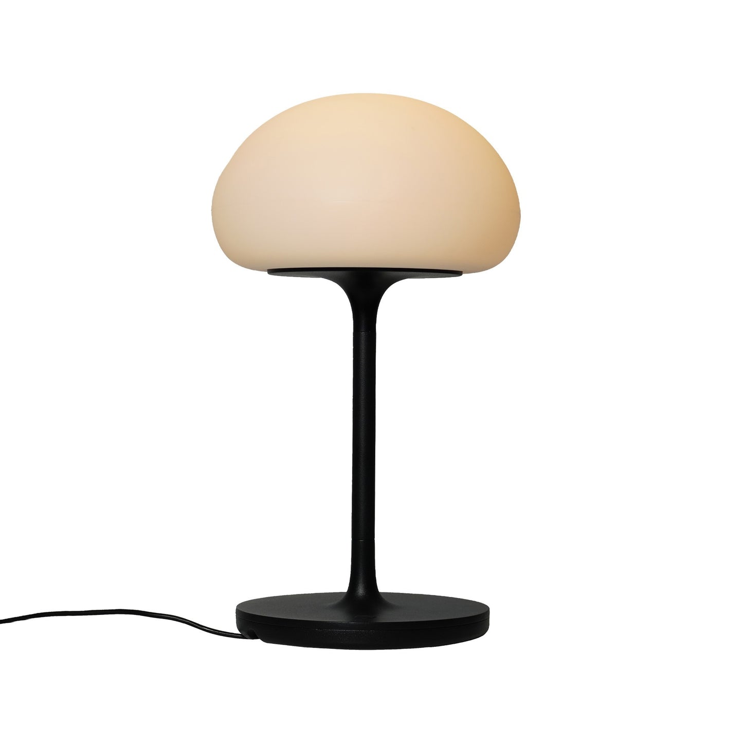 Sponge On A Stick - Battery light