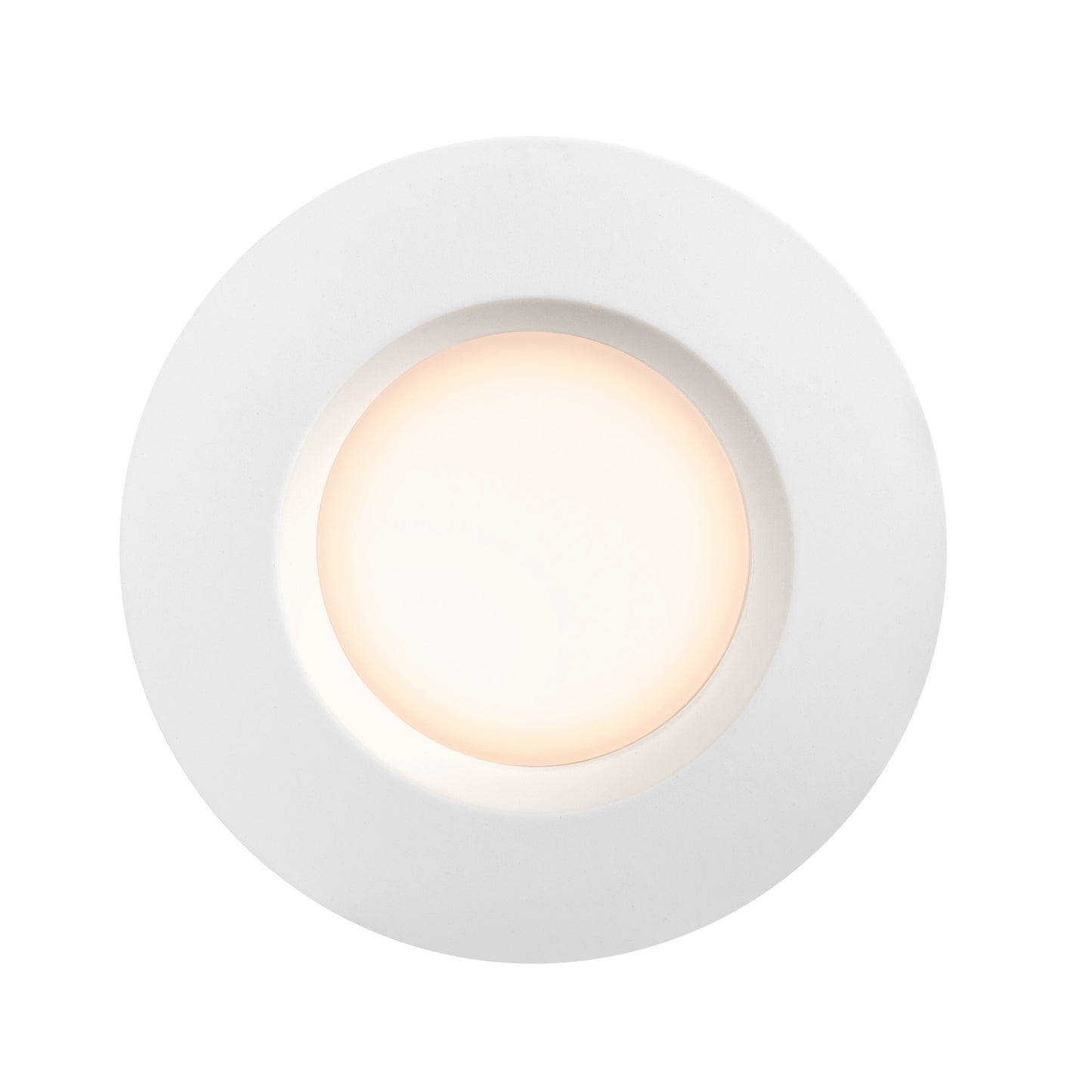 Tiaki - Downlight