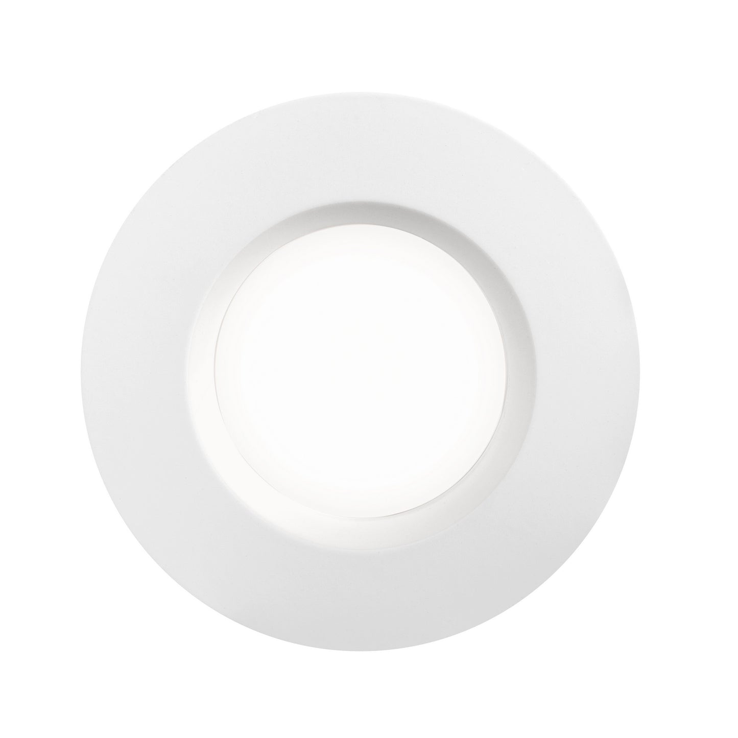 Tiaki - Downlight