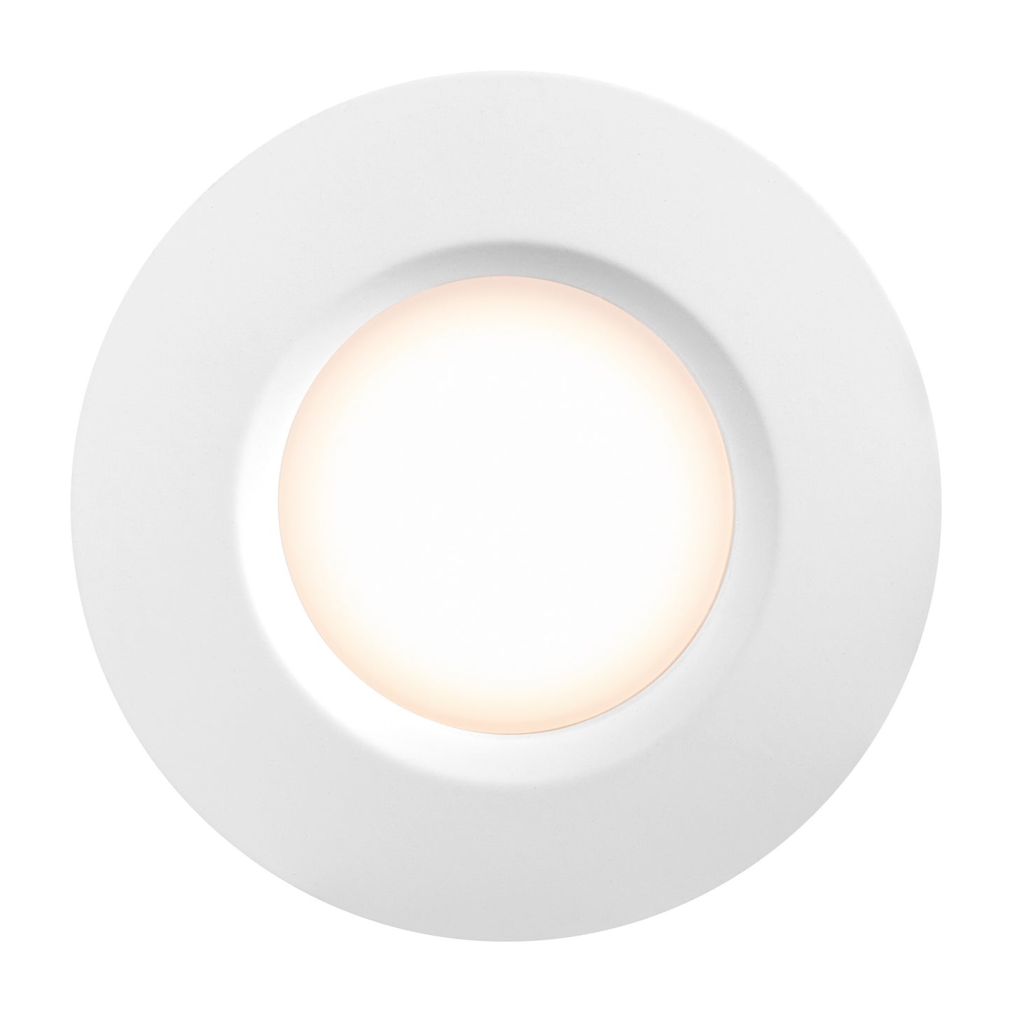 Tiaki - Downlight