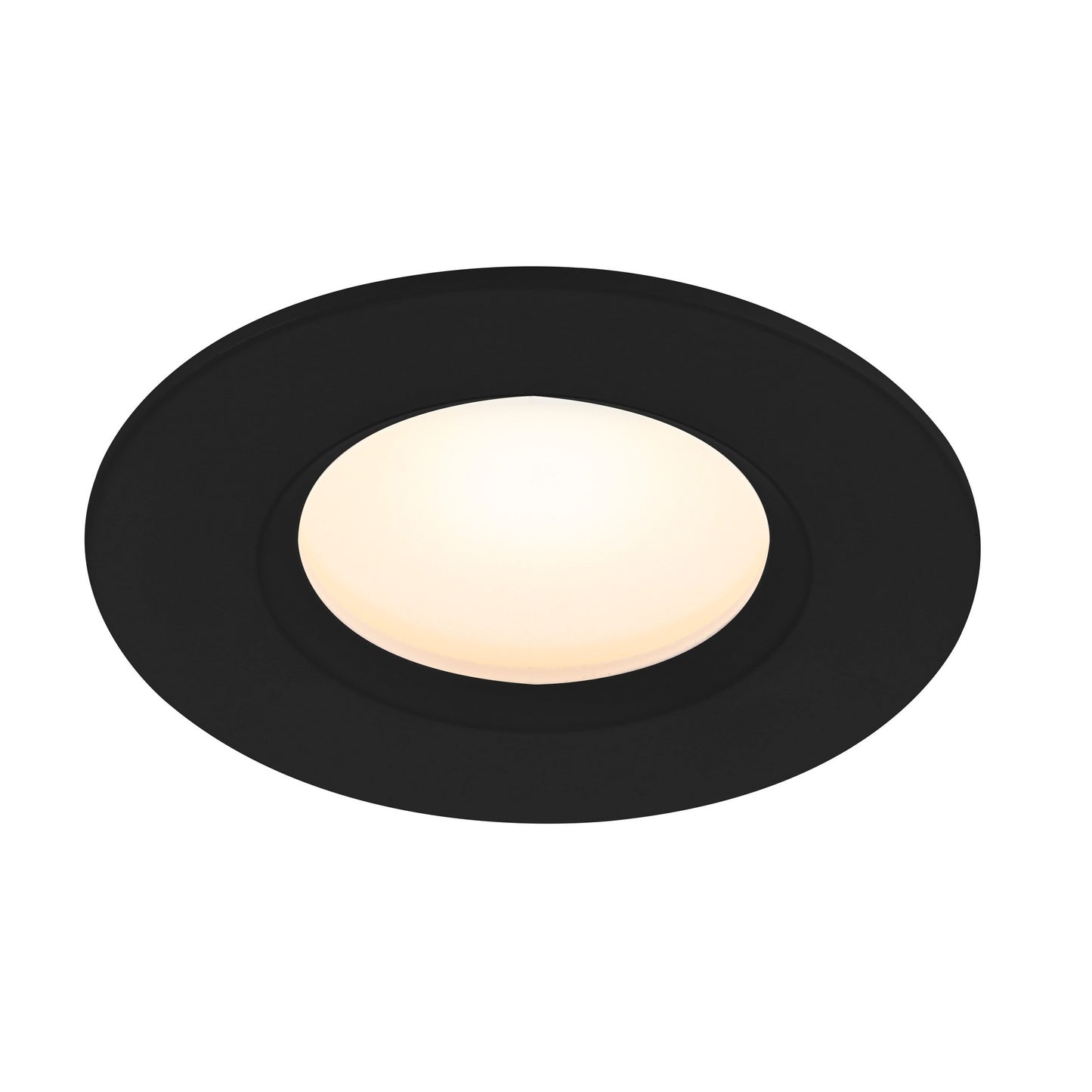 Tiaki - Downlight
