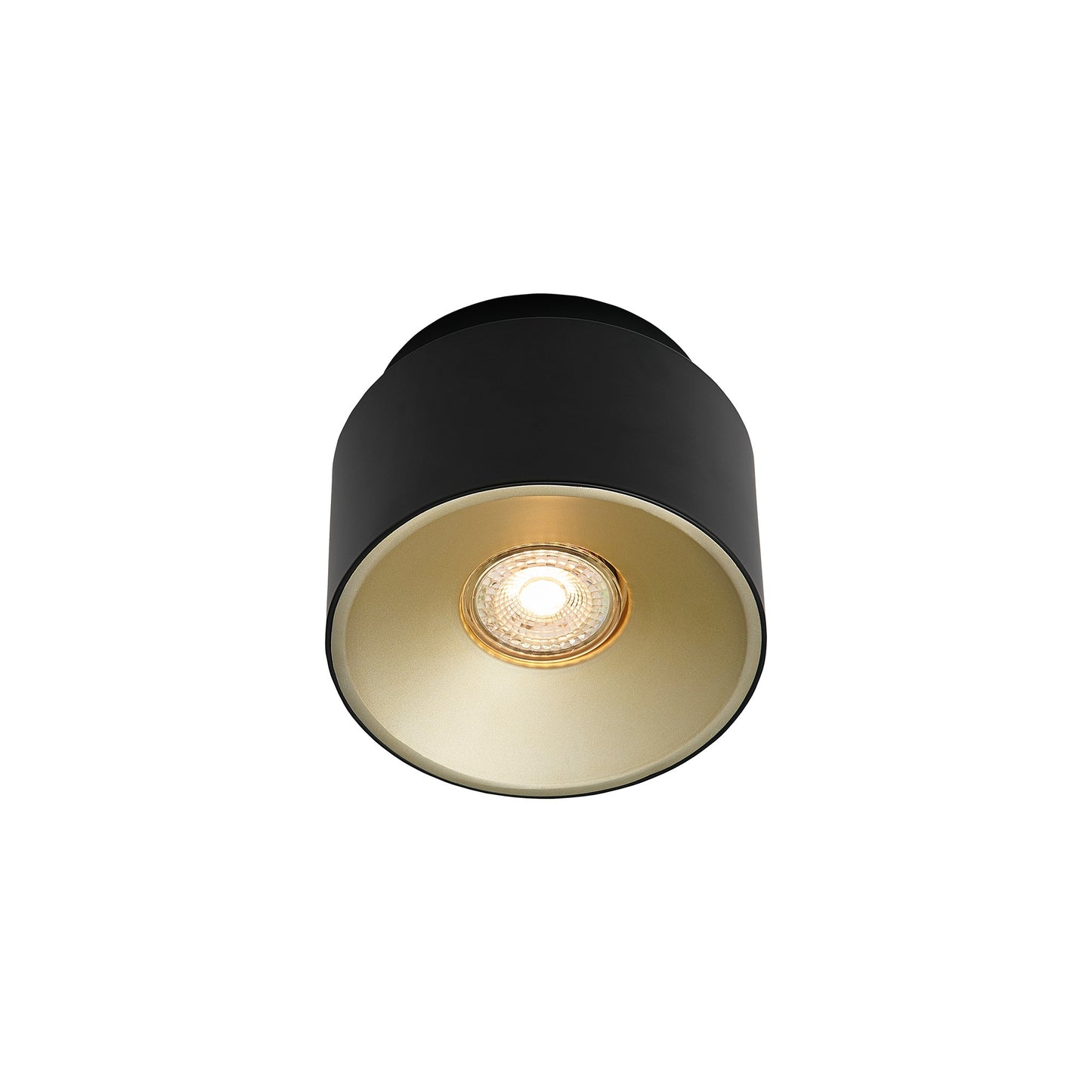 Torone - Spot light