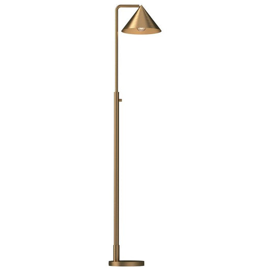 Remyck 1 lt Floor Lamp - Brushed Gold