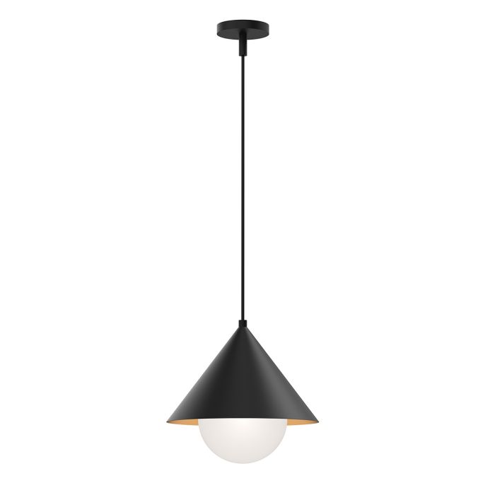Remyck 1 lt Pendant - Matte Black