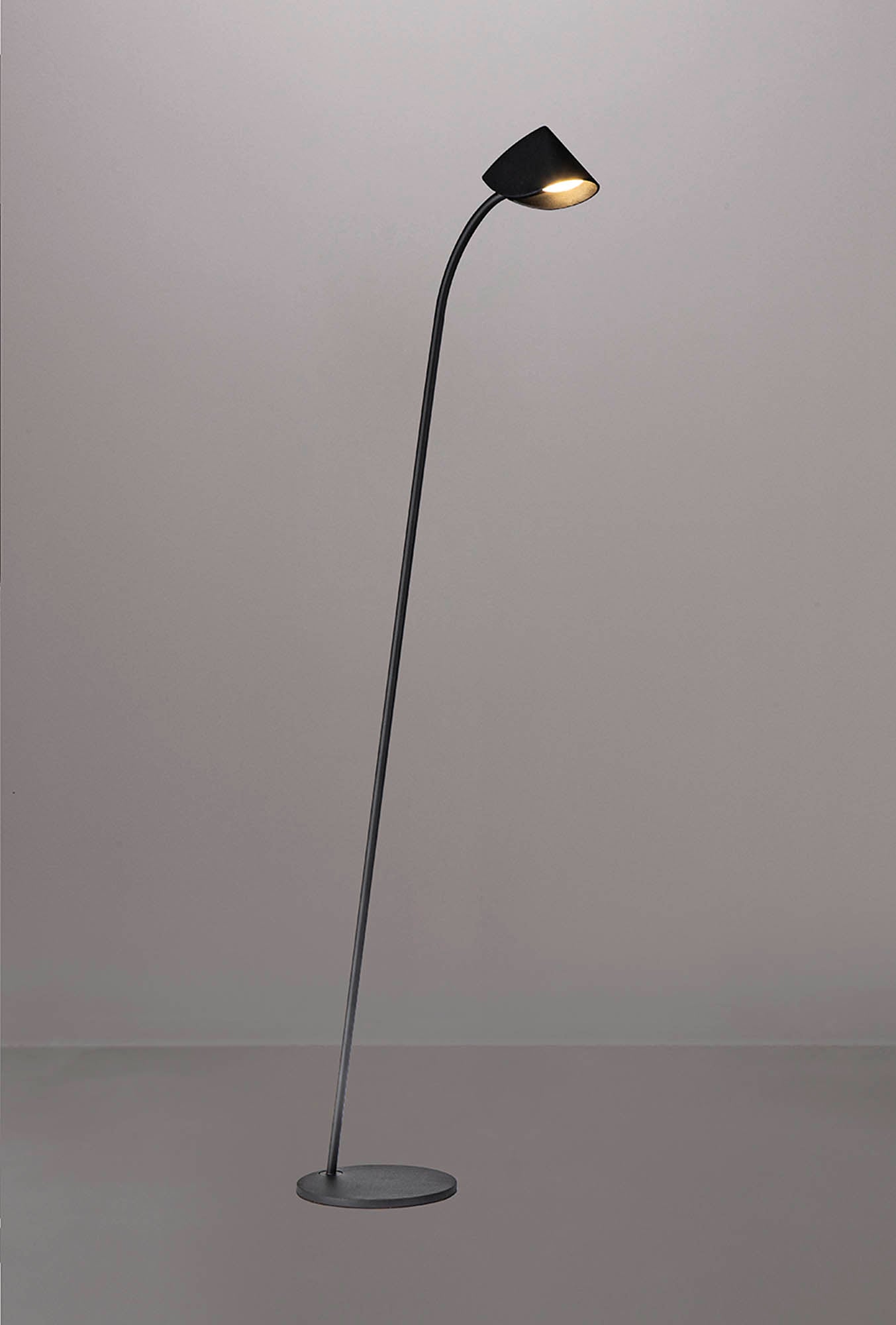 Capuccina 1 Light Floor Lamp, 8.5W LED, 3000K, 600lm, Black, 3yrs Warranty by Mantra