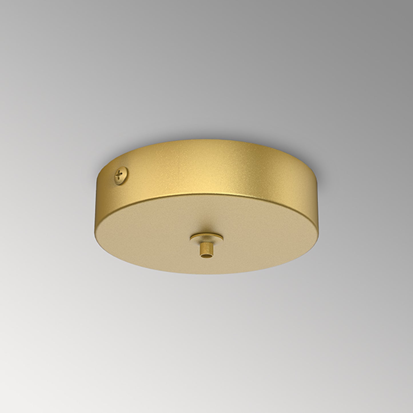 Elsa 1 Hole 100mm Round Canopy Kit, Gold by Mantra