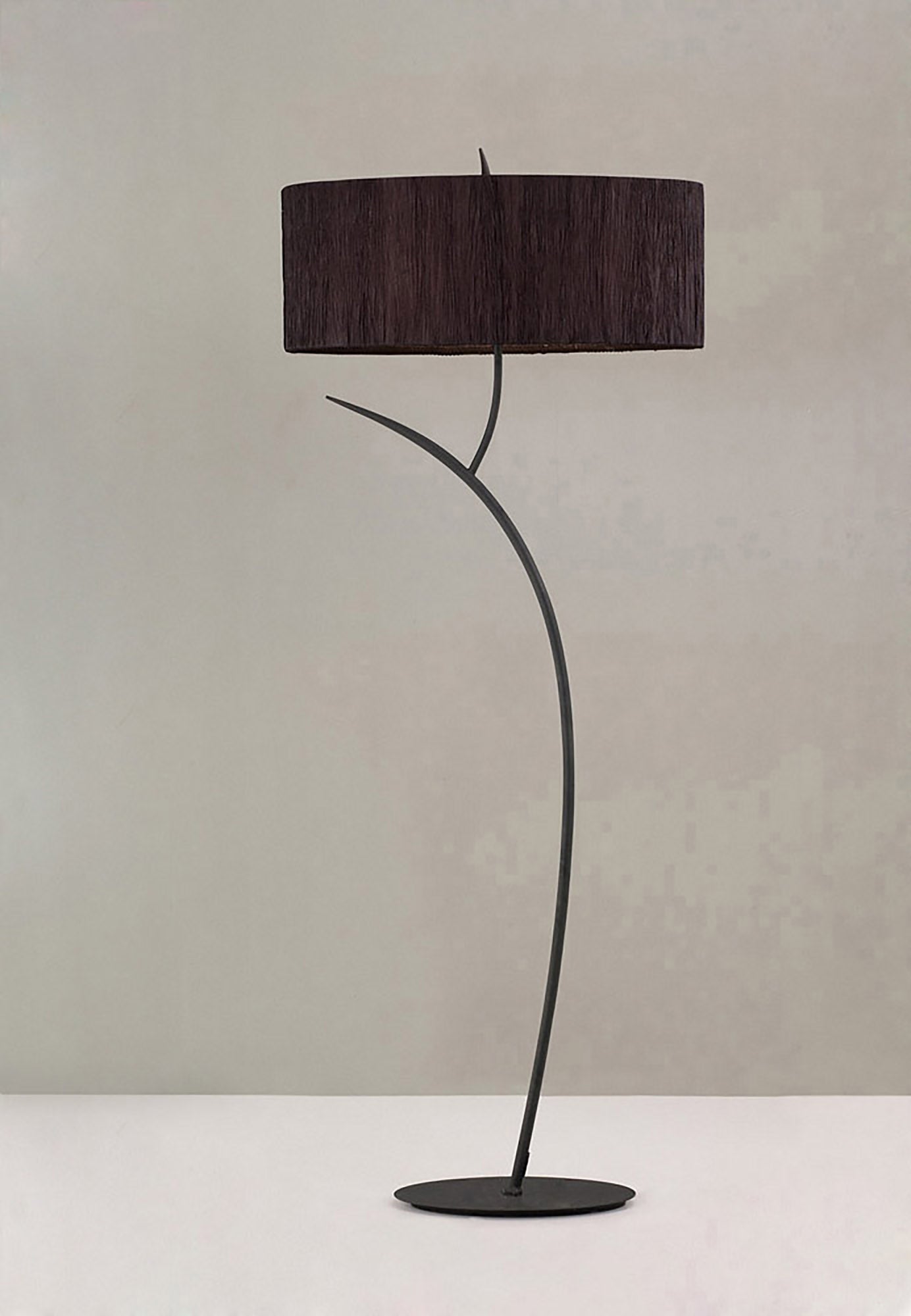 Eve Floor Lamp 2 Light E27, Anthracite With Black Oval Shade by Mantra