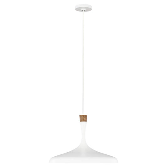 Darwin 1 Light Pendant – Matte White