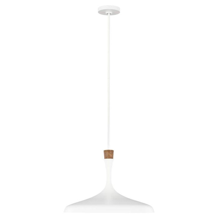 Darwin 1 Light Pendant - Matte White with Wood Accent