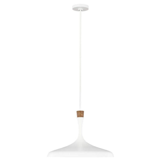 Darwin 1 Light Pendant - Matte White with Wood Accent