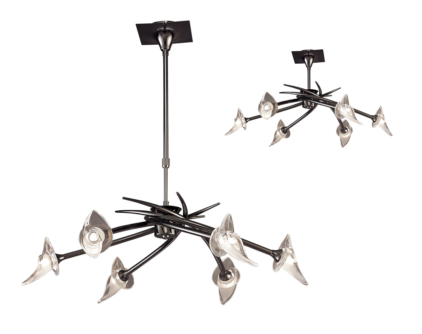 Flavia Telescopic Pendant Convertible To Semi Flush Round 6 Light G9, Black Chrome by Mantra