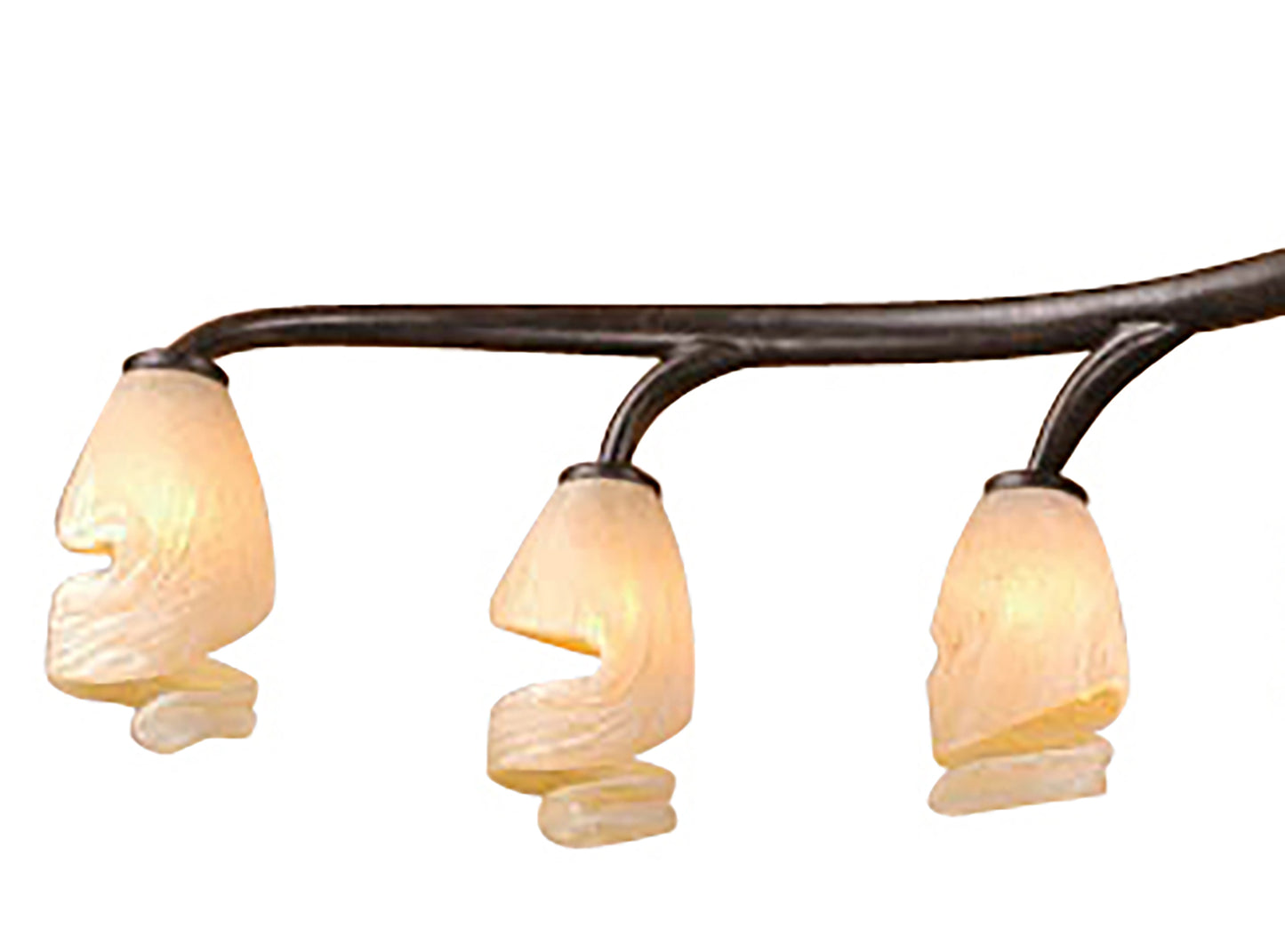 Forest Semi Ceililng 8 Light G9 Bar, Brown, Black Oxide by Mantra
