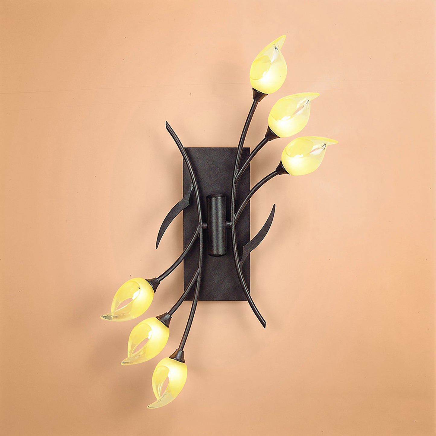 Holland Ceiling/Wall Switched 6 Light G9, Brown/Black Oxide by Mantra