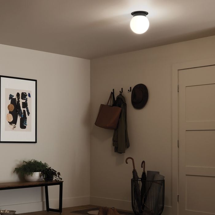 Albers Flush 1 lt Ceiling Light - Black