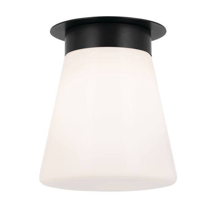 Albers Flush 1 lt Ceiling Light - Black