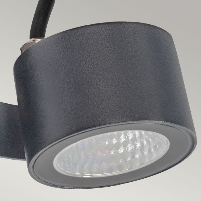 Moss LED Wall Light - Graphite