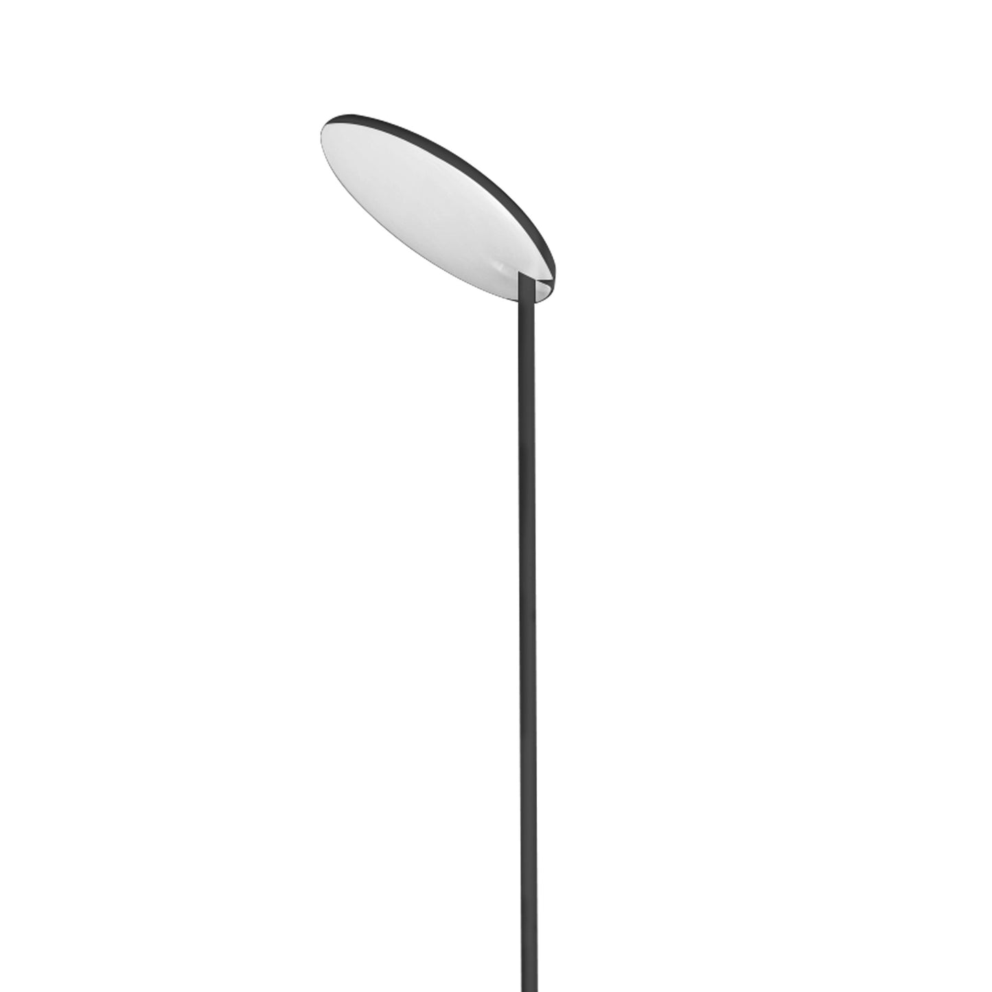 Nassau Floor Lamp 182cm, 30W LED, 3000K, 2800lm Dimmable, Black, 3yrs Warranty by Mantra