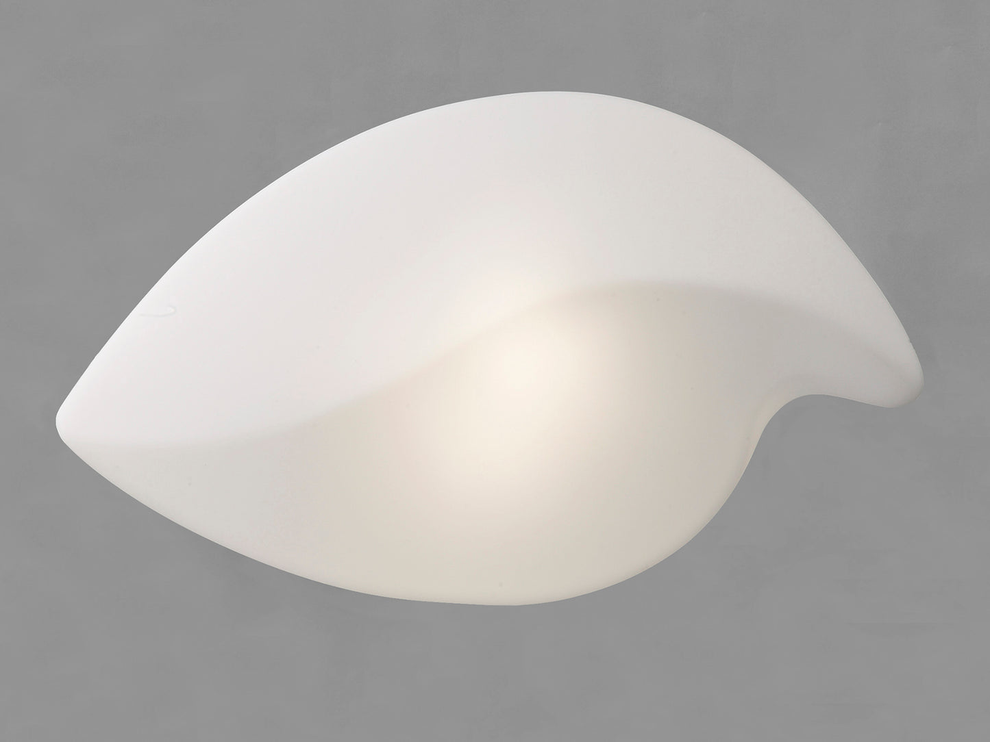 Natura Ceiling/Wall Outdoor Large 2 Light E27 IP44, Matt White/Opal White by Mantra