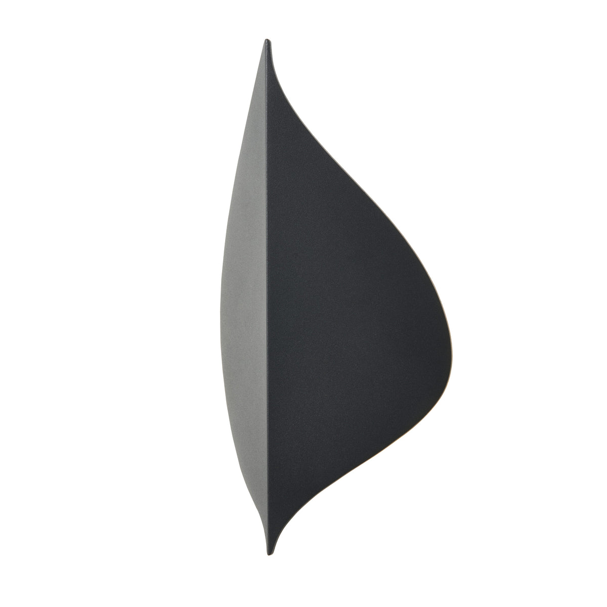 Alani Outdoor LED Leaf Style Wall Light, Anthracite