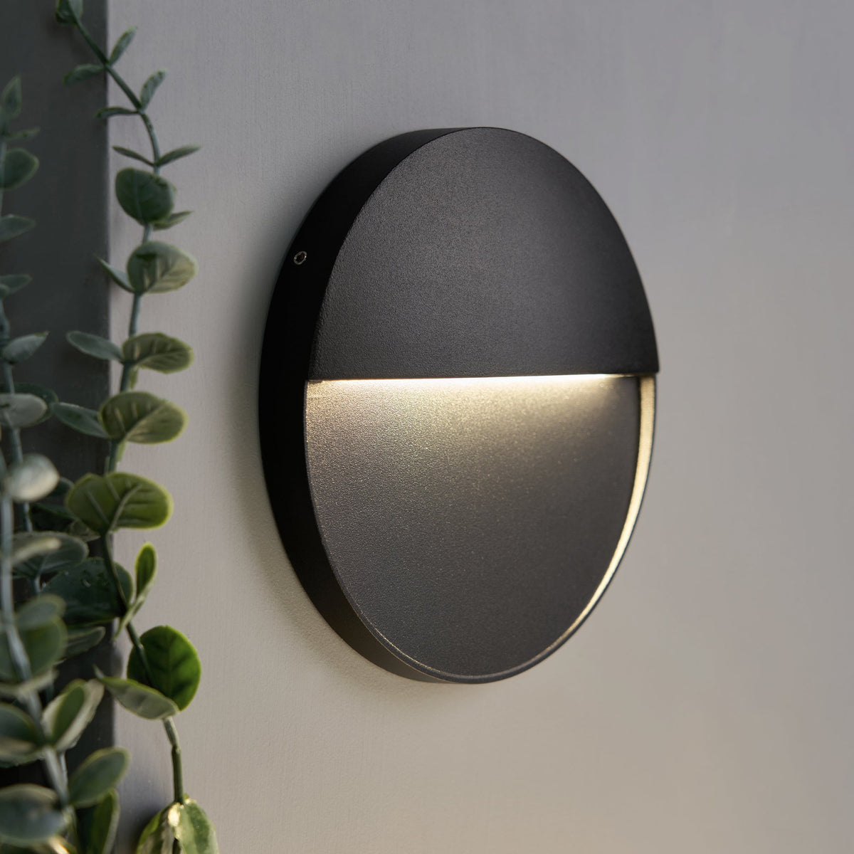Onza Outdoor LED 16cm Round Wall Light, Black