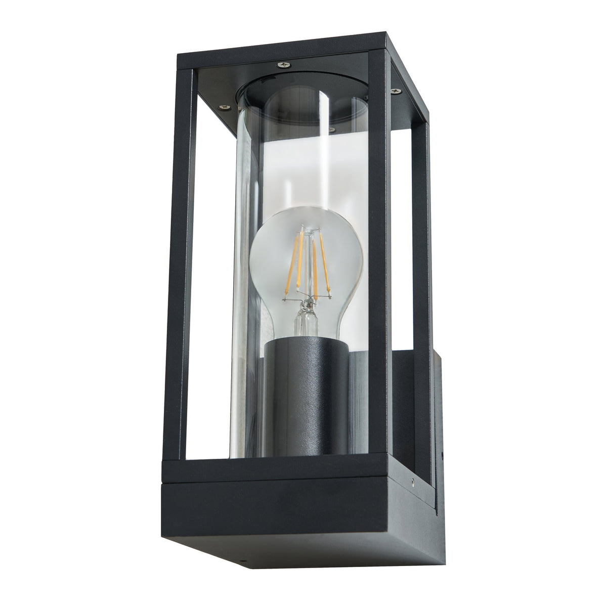 Harmby Outdoor Wall Lantern Black
