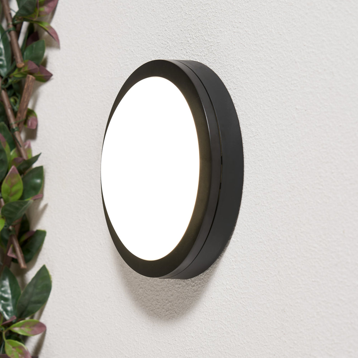 Zien Bulkhead Outdoor Wall Light 12W Black